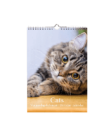 [XXH3001] Birthday Calendar - Cat Photos