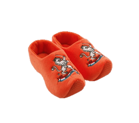 Wooden Shoe Slippers Pair - Orange Lion 25-30