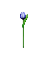 [ES820.200-b] Wooden Tulips - Blue & White, Small 20 cm
