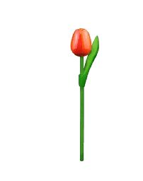 [ES820.200-or] Wooden Tulips - Orange & Red, Small 20 cm