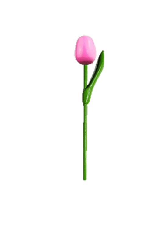 Wooden Tulips - Pink & White, Small 20 cm