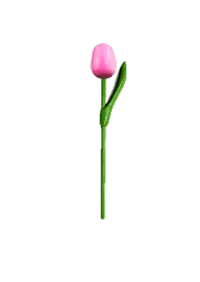 [ES820.200-pink] Wooden Tulips - Pink & White, Small 20 cm