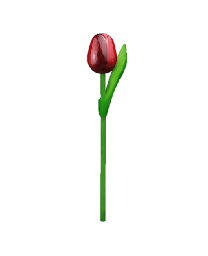 [ES820.200-ra] Wooden Tulips - Red & Aubergine, Small 20 cm