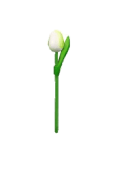 [ES820.200-wg] Wooden Tulips - White & Green, Small 20 cm