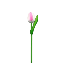[ES820.200-wp] Wooden Tulips - White & Pink, Small 20 cm