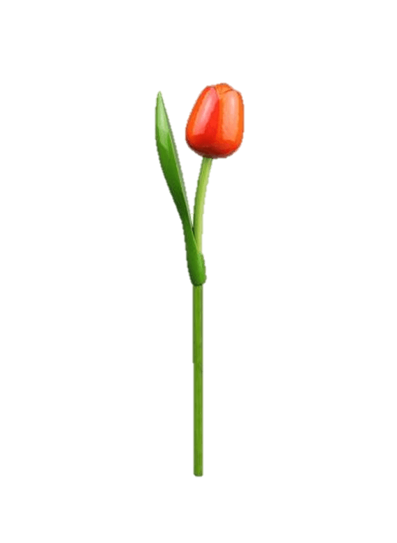 Wooden Tulips - Orange & Red, Large 34 cm