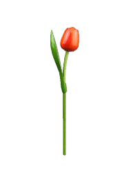 [ES820.340-or] Wooden Tulips - Orange & Red, Large 34 cm