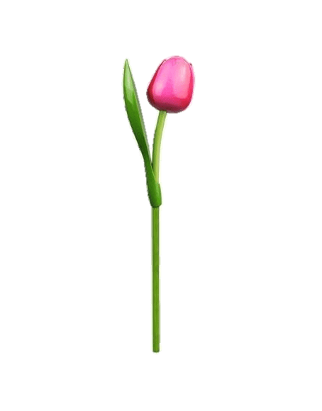 Wooden Tulips - Pink & White, Large 34 cm
