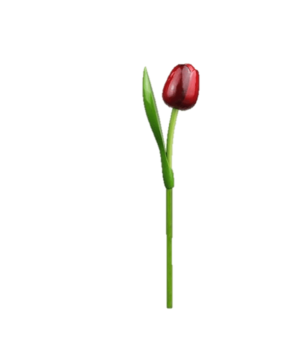 Wooden Tulips - Red & Aubergine, Large 34 cm