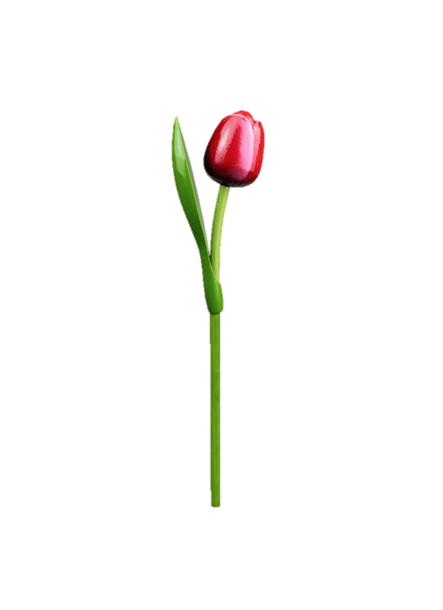 Wooden Tulips - Red & White, Large 34 cm