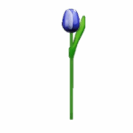 Wooden Tulips - Blue & White, Small (20 cm)