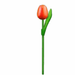 Wooden Tulips - Orange & Red, Small (20 cm)