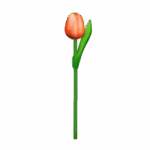 Wooden Tulips - Orange & White, Small (20 cm)