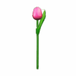 Wooden Tulips - Pink & Red, Small (20 cm)