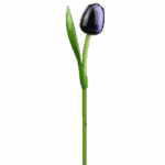 Wooden Tulips - Aubergine & White, Large (34 cm)