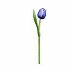 Wooden Tulips - Blue & White, Large (34 cm)