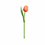 Wooden Tulips - Orange & White, Large (34 cm)