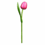 Wooden Tulips - Pink & White, Large (34 cm)