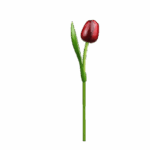 Wooden Tulips - Red & Aubergine, Large (34 cm)