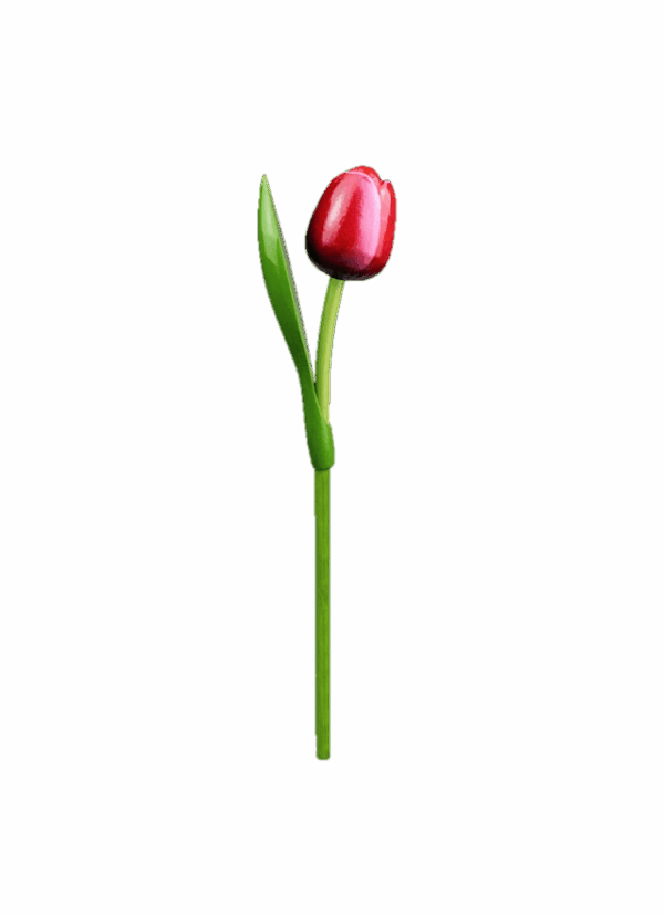 Wooden Tulips - Red & White, Large (34 cm)