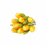 Wooden Tulips - Yellow & Orange, Large (34 cm)