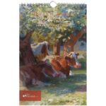 Birthday Calendars - Dutch Cow Drawings