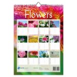 Birthday Calendars - Flower Close-Ups