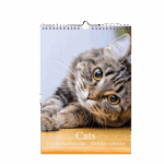 Birthday Calendars - Cat Photos