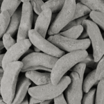 Grahns Foam Salty Licorice Bananas (2400g)