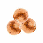 Chokly Copper Chocolate & Licorice Balls (2400g)